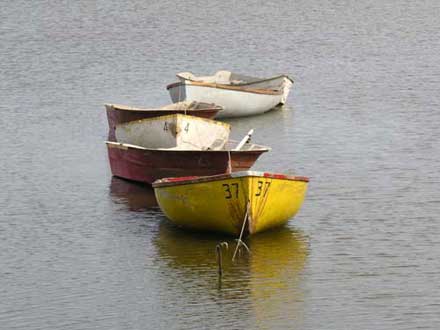 Lagunas Bonaerenses